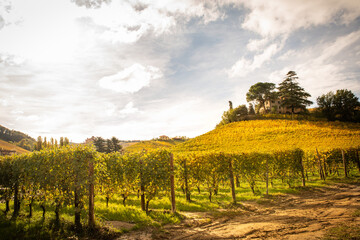 Fototapeta na wymiar Barolo wine region, Langhe, Piedmont, Italy