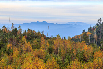秋　紅葉の日和田高原　飛騨高山