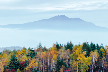 秋　紅葉の日和田高原　飛騨高山