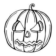 Hand drawn pumpkin isolated on white background.