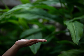 Technology, hand holding with environment Icons over the Network connection on green background.