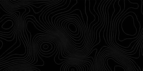 Fototapeta na wymiar Abstract background with topographic lines .Digital Contour curve dot and line ripple and wave with wireframe . Abstract Background for 3D Futuristic technology concept paper texture design