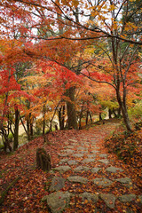 秋の小径
