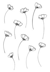 Hand drawn illustration of branches, leaves and flowers. Design elements