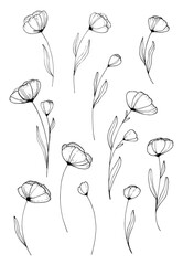 Hand drawn illustration of branches, leaves and flowers. Design elements