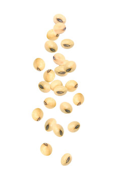 Soybeans flying in the air isolated on white background.