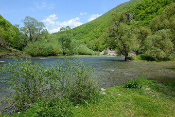 Obraz premium View at the river over lake Debar on North Macedonia