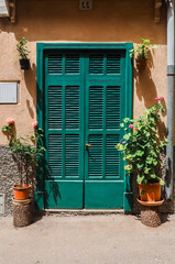 Verschlossene blaue Fensterlade mit Pflanzen
