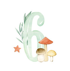 Watercolor illustration card with number 6, mushrooms, star and branch. Isolated on white background. Hand drawn clipart. Perfect for card, postcard, tags, invitation, printing, wrapping.