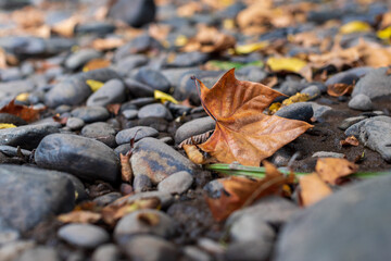 Stones on the beach