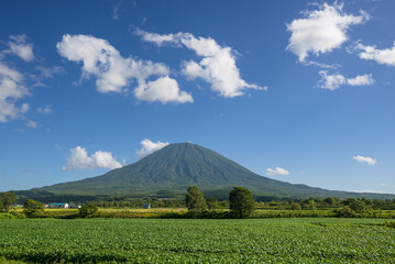 雄大な姿を見せる蝦夷富士 夏の羊蹄山