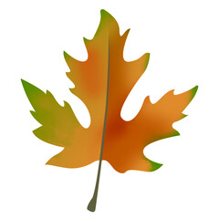 Naklejka premium Autumn leaf element