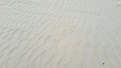 sand ripples in the sand