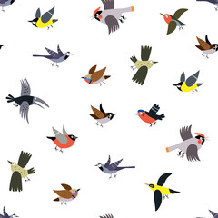 Obraz na płótnie Canvas Seamless vector pattern with little city birds isolated on a white background. Graphic print for children.