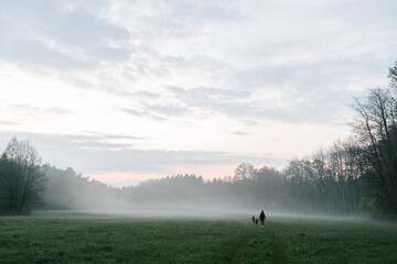 Naklejka na ściany i meble Fog or mist on the field. Family walking on a foggy day in the field