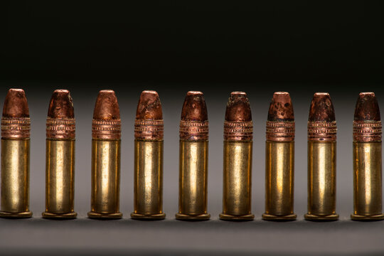 .22lr rounds, rimfire ammunition. Pest control and plinking. The cartridges are aligned in one row.