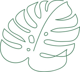 Monstera Leaf Line Drawing Miniaml