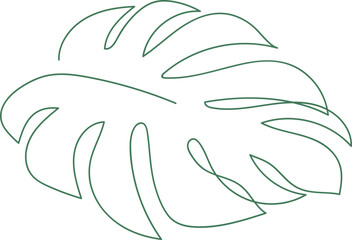 Monstera Leaf Line Drawing Miniaml