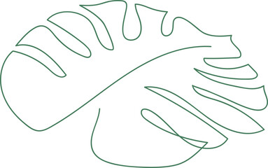 Monstera Leaf Line Drawing Miniaml