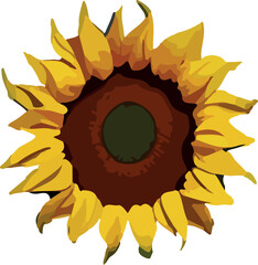 Sunflower Low poly concept on white background 