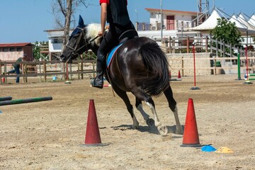 Little girl that rides a brown pony during Pony Game competition at the Equestrian School