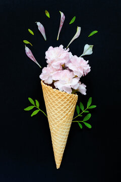 Top view of a flat lay on a black background on which lies an ice cream cone in which a bouquet of pink carnations is inserted, around which lie petals and green twigs.