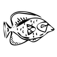 Fish black and white line art illustration PNG with transparent background.