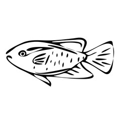 Fish black and white line art illustration PNG with transparent background.