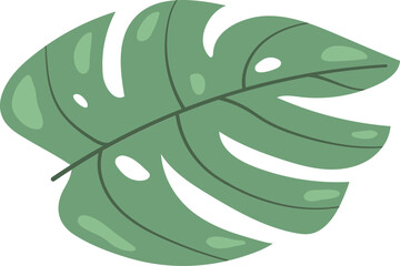 Monstera Leaf Minimal Illustration Floral