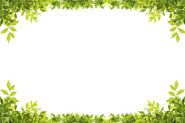 Green leaves border isolated, PNG transparent
