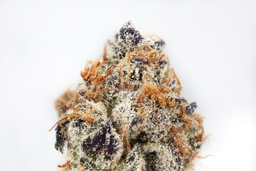 Isolated cannabis flower bud super close up