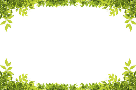 Leaf Border Transparent Images – Browse 38,438 Stock Photos, Vectors, and  Video
