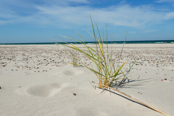 Rippled sand background, dune and see in Slowinski National Park, Leba, Poland. Beautiful scenery...