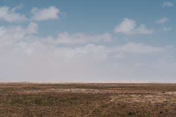 Obraz premium Paisagem natural em lençois maranhenses