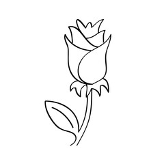 Flower line art illustration, outline decoration PNG
