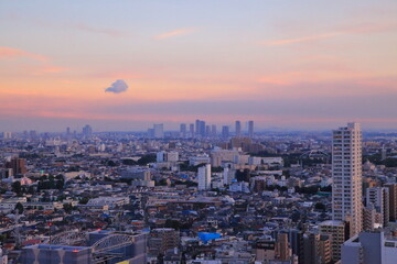 Naklejka na ściany i meble 三軒茶屋にあるキャロットタワーから見る東京の夕景