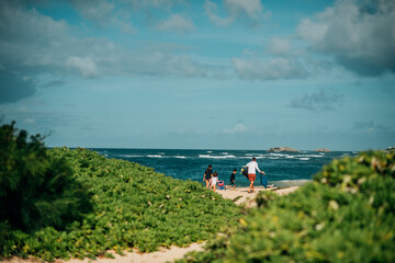 Fototapeta na wymiar A family walks down a sandy path to a gorgeous Hawaiian beach