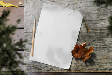 Clean minimal poster mockup on top wooden with pencil with plants