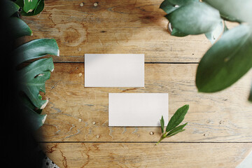 Clean minimal business card mockup on wooden top table with leaves