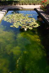 Grenada (Spain). Pool in the gardens of San Francisco inside the Alhambra in Granada
