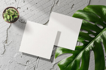 Clean minimal square flyer mockup on top cement with leaf and plant