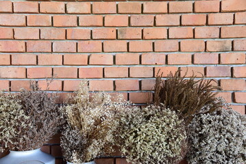 Dried flower a decor in the cafe for a wallpaper.
