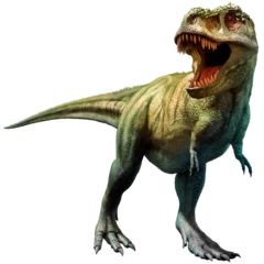 Keuken spatwand met foto Tyrannosaurus rex dinosaur from the Cretaceous era 3D illustration  © warpaintcobra