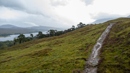 Footpath in Scotland. West Highland Way trekking. High quality photo