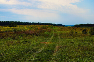 Obraz premium Winding dirt road in the meadow. Twisting path. Pathway on a green field. Trails on a grassland.