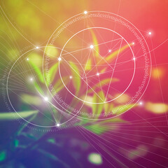 Sacred geometry. Mathematics, nature, and spirituality  in space. Fibonacci row. There is no beginning and no end of the Universe, and no beginning and no end of the Life and the Bliss.