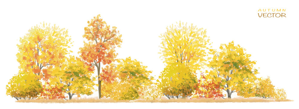 Vector autumn trees collection,watercolor blooming flower tree or forest side view isolated on white background for landscape and decorative ,elements for environment or and garden,botanical garden