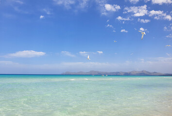 East coast of Majorca in Spain Baleares Playa de Muro panoramic view of the sea