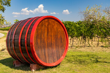 Fototapeta premium Wine barrel in vineyard, Tuscany, Italy