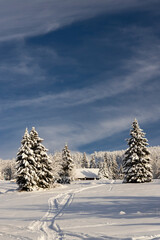Winter landscape around Mala Upa, Giant Mountains (Krkonose), Northern Bohemia, Czech Republic